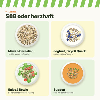 Zimmermann Soja Protein Crispies 1 kg – 60 % Protein, zuckerarm, vegan & fettarm – knuspriges Topping für Müsli, Joghurt, Salat & Bowls