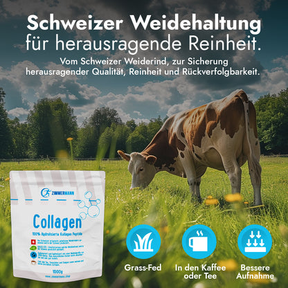 Collagen Pulver 1000g Bioaktives Kollagen Hydrolysat von Zimmermann - konventionell
